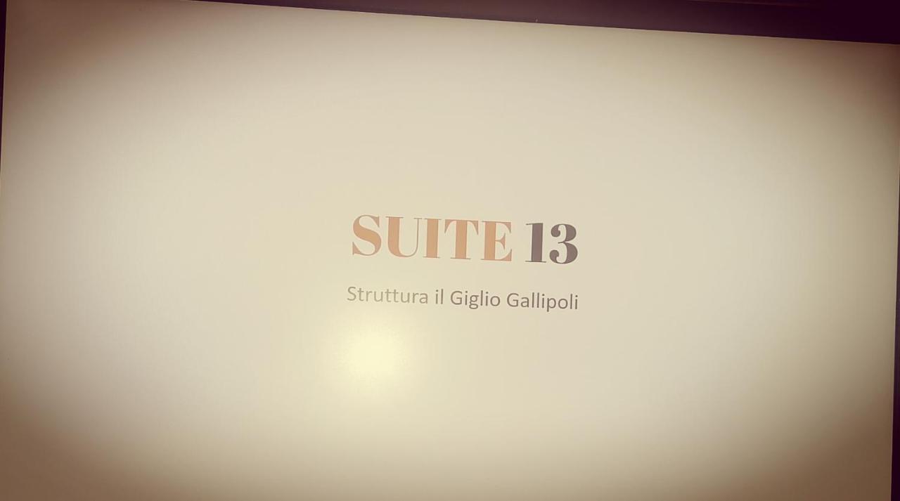 Loft 13- 13 Il Giglio Apartment *